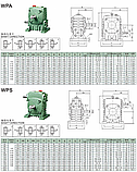 Редуктор червячный WPA WPS WPO WPX, фото 5