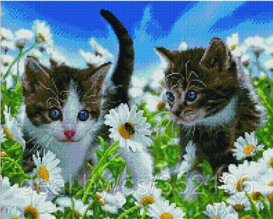 Алмазная мозаика "Котята в ромашковом поле" на подрамнике