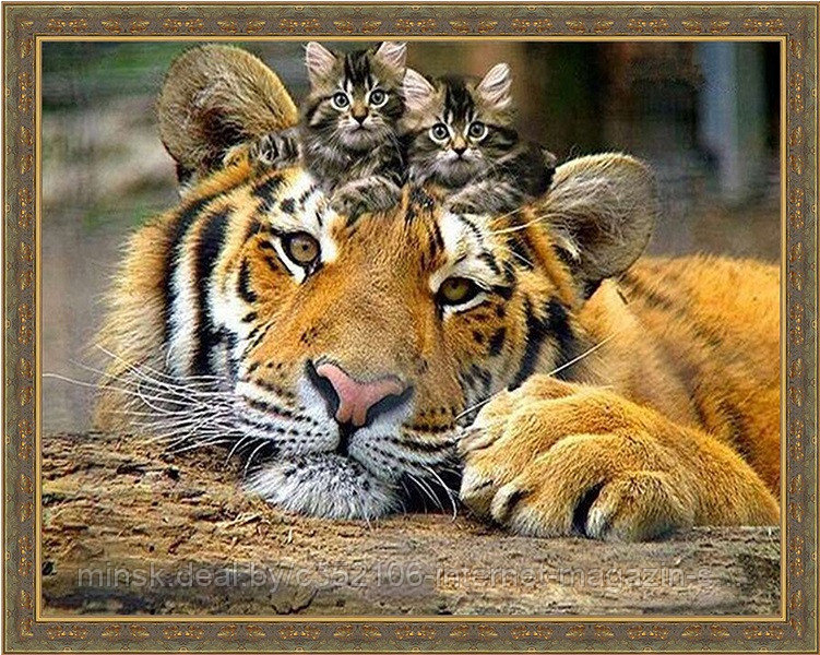 Алмазная мозаика "Тигр и котята" на подрамнике