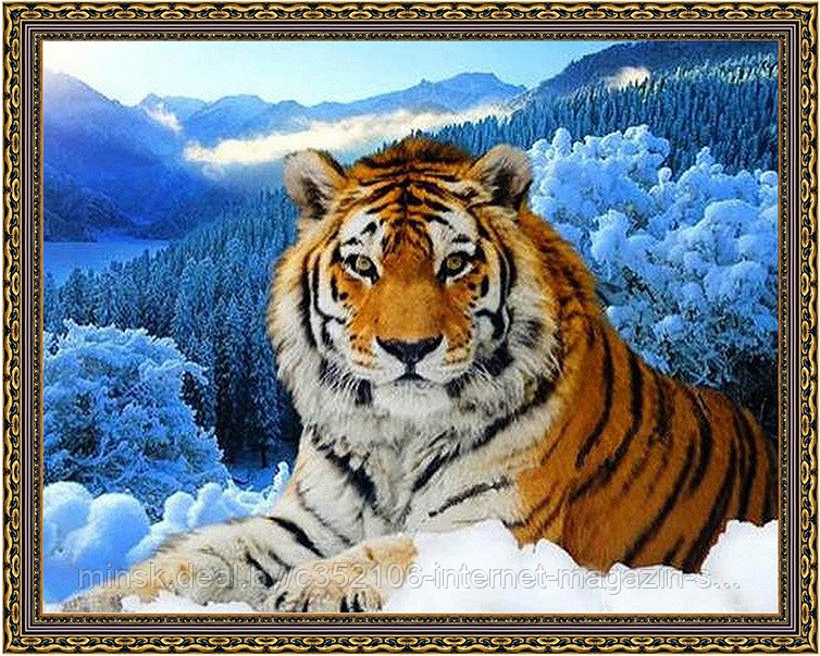 Алмазная мозаика "Тигр" на подрамнике