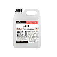 Средство для чистки акриловых ванн 348-5 Maline, 5л