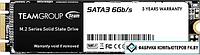 SSD Team MS30 256GB TM8PS7256G0C101