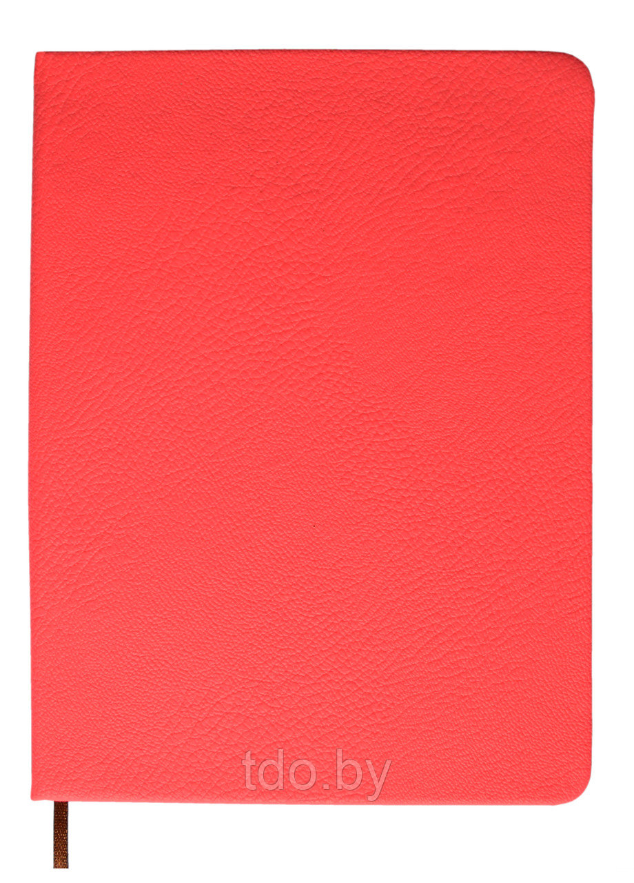 Записная книжка алфавитная НЕОН, 160 стр, 13x18 cм Красный - фото 1 - id-p182760167