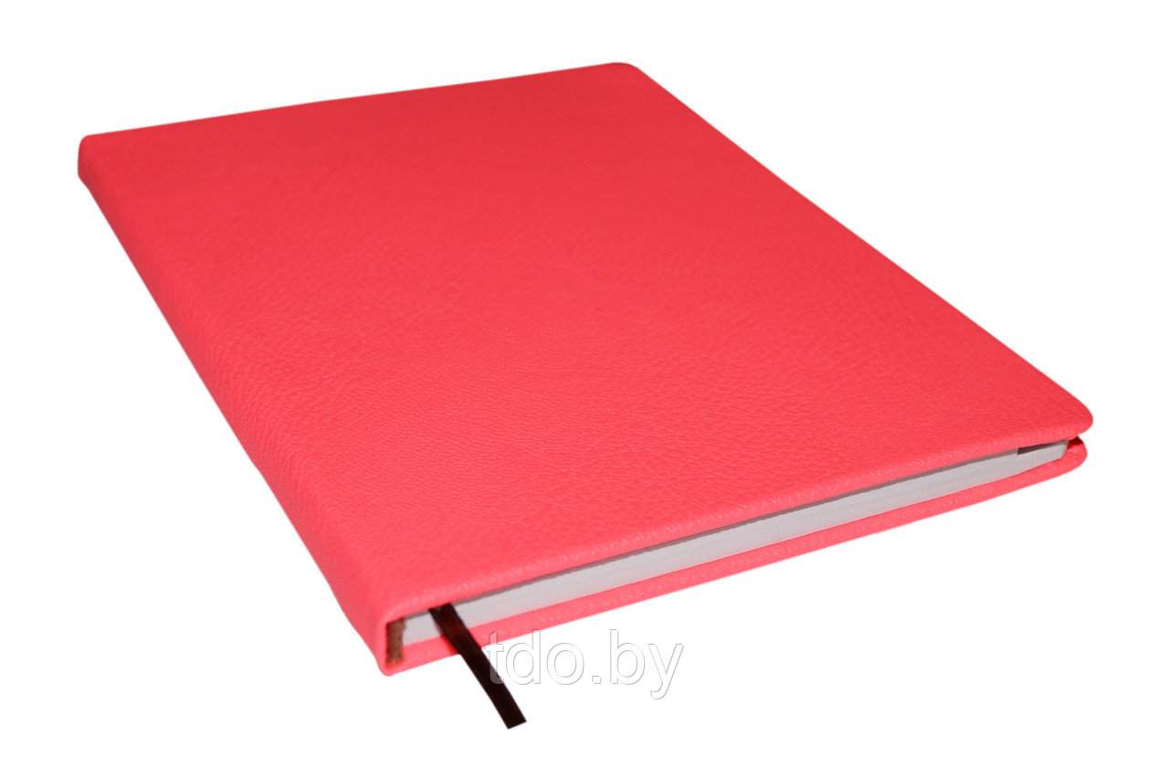 Записная книжка алфавитная НЕОН, 160 стр, 13x18 cм Красный - фото 2 - id-p182760167