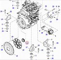 Шестерня привода гидронасоса Bowex 65+SR (z=21/42) для погрузчиков Bobcat, Massey Ferguson, фото 3