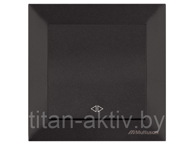 Выключатель промежуточный многопозиционный (скрытый, пруж. зажим) черный, DARIA, MUTLUSAN (10 A, 250