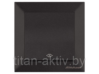 Выключатель промежуточный многопозиционный (скрытый, пруж. зажим) черный, DARIA, MUTLUSAN (10 A, 250