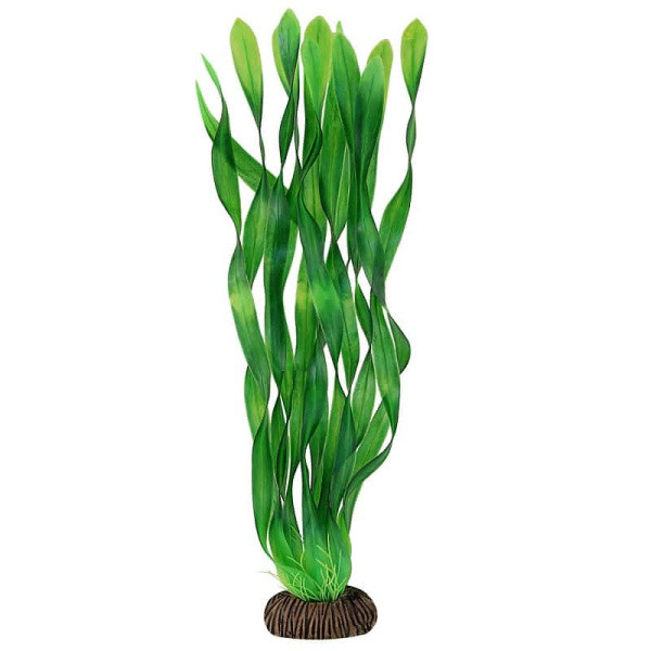 Растение для аквариума "Валлиснерия" зеленая, 350 мм (74044050) - фото 1 - id-p183571115