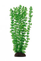 Растение "Бакопа" зеленая Laguna 200 мм (74044033)