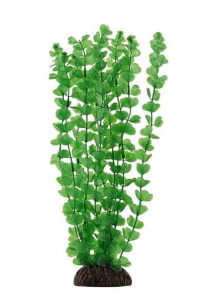Растение "Бакопа" зеленая Laguna 200 мм (74044033) - фото 1 - id-p157691976