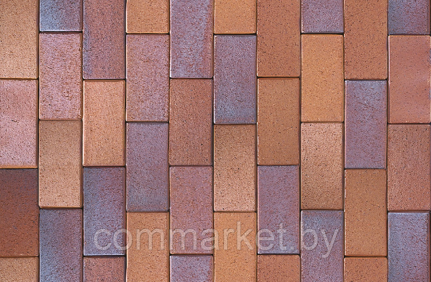 Брусчатка «АВС-Klinkergruppe» Herbstlaub Geflammt 200x100x45