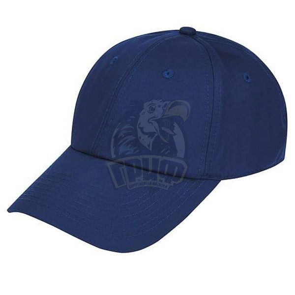 Бейсболка спортивная Jogel Camp Team Cap (темно-синий) (арт. JС4BC0121.Z4) - фото 1 - id-p183683653