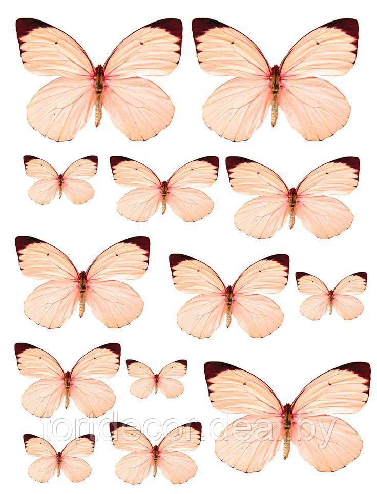 Вафельная картинка "Бабочки Персиковые" - фото 1 - id-p183685795