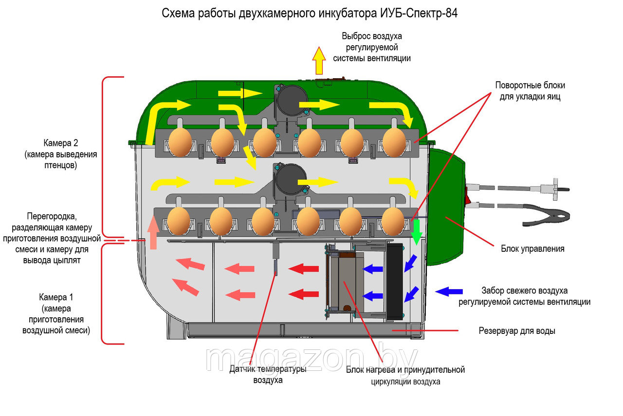Инкубатор бытовой Спектр-84-01 автоматический универсальный - фото 3 - id-p114440347