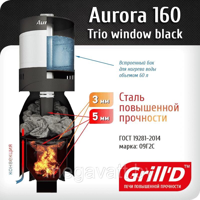 Grill D Aurora 160А Trio Window (дверца со стеклом) - фото 2 - id-p183722214