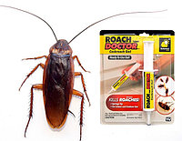 Гель  от тараканов и насекомых Roach doctor Cockroach Gel