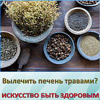 Вылечить печень травами?