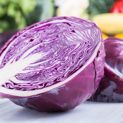 "ООО "Леда-Сидс"" - контакты, товары, услуги, цены