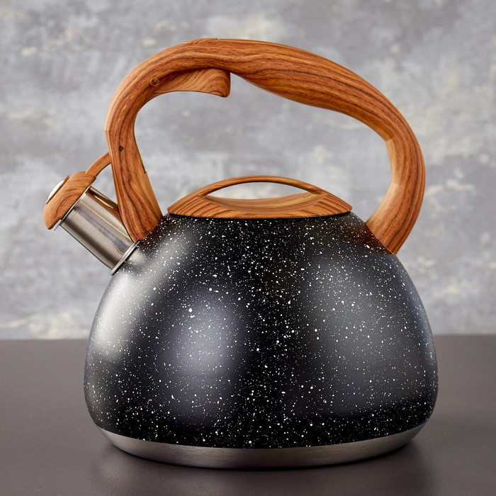 Чайник со свистком из нержавеющей стали Magistro Stone, 2,7 л, ручка soft-touch, индукция, цвет чёрный - фото 1 - id-p183867851
