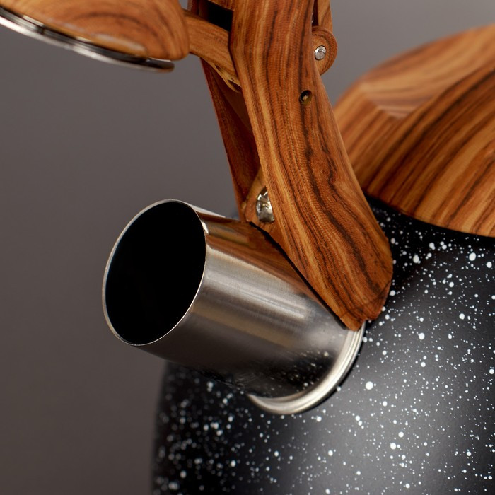 Чайник со свистком из нержавеющей стали Magistro Stone, 2,7 л, ручка soft-touch, индукция, цвет чёрный - фото 2 - id-p183867851