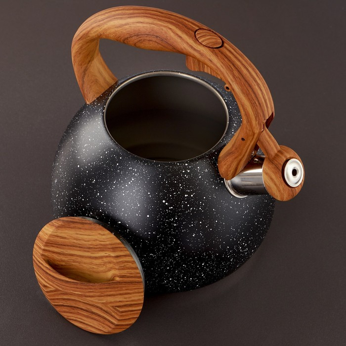 Чайник со свистком из нержавеющей стали Magistro Stone, 2,7 л, ручка soft-touch, индукция, цвет чёрный - фото 3 - id-p183867851