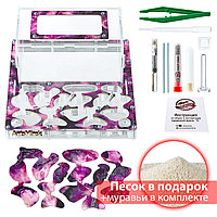 Муравьиная ферма XXXL emerald (Стартовый комплект)