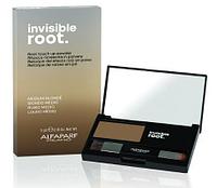 Тонирующая пудра для волос Invisible Root Color, тон Medium Blonde Блондин, 5г (Alfaparf Milano)