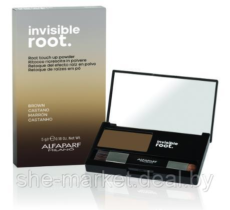 Тонирующая пудра для волос Invisible Root Color, тон Brown Коричневый, 5г (Alfaparf Milano) - фото 1 - id-p183920313