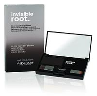 Тонирующая пудра для волос Invisible Root Color, тон Black черный, 5г (Alfaparf Milano)