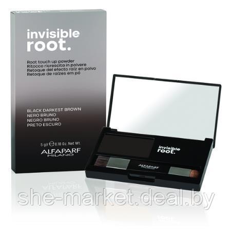 Тонирующая пудра для волос Invisible Root Color, тон Black черный, 5г (Alfaparf Milano) - фото 1 - id-p183920312
