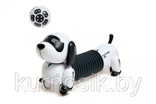 Собака-робот интерактивная  на р/у Собачка Такса K22