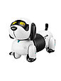 Собака-робот интерактивная  на р/у Собачка Такса K22, фото 7
