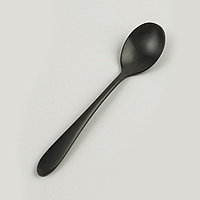 Ложка чайная ,покрытие PVD,черный матовый цвет,серия "Alessi-Black" P.L.