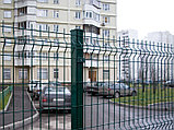 Забор. Металлический забор. Забор из сварной сетки., фото 4