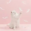 Игрушка-дразнилка с перьями для кошек  Xiaomi Furrytail Flamingo Cat Teaser (Голубой), фото 2