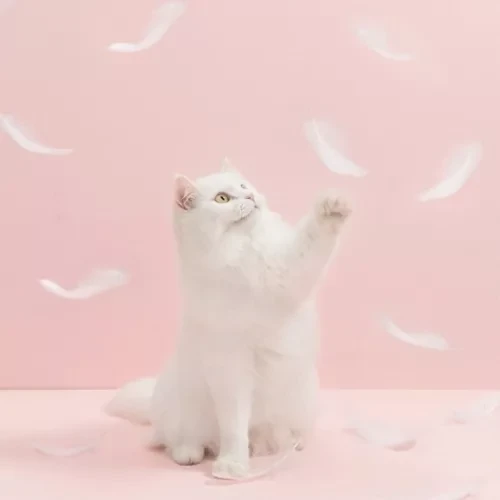 Игрушка-дразнилка с перьями для кошек Xiaomi Furrytail Flamingo Cat Teaser (Голубой) - фото 6 - id-p165970344