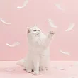 Игрушка-дразнилка с перьями для кошек  Xiaomi Furrytail Flamingo Cat Teaser (Голубой), фото 2