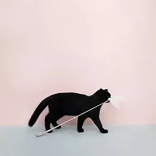 Игрушка-дразнилка с перьями для кошек  Xiaomi Furrytail Flamingo Cat Teaser (Белый), фото 2