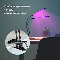 Светодиодная LED фитолампа для подсветки растений с двумя головками, фото 2