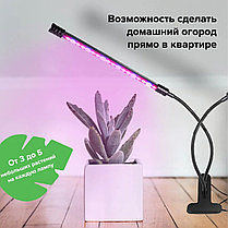 Светодиодная LED фитолампа для подсветки растений с двумя головками, фото 3