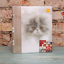 Фотоальбом магнитный  Kittens  на 20 страниц