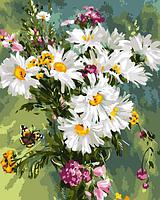 Набор для рисования по номерам, картина 41х51 см Полевые цветы (холст на подрамнике, краски, кисть) арт.Рх-116