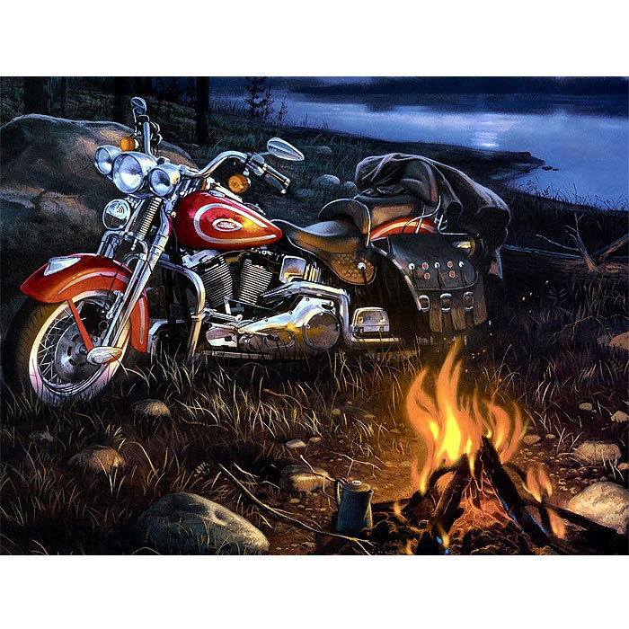 Алмазная живопись "Darvish" 30*40см Мотоцикл в свете огня - фото 1 - id-p184123616