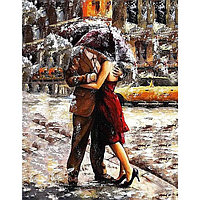 Алмазная живопись "Darvish" 30*40см Под дождём