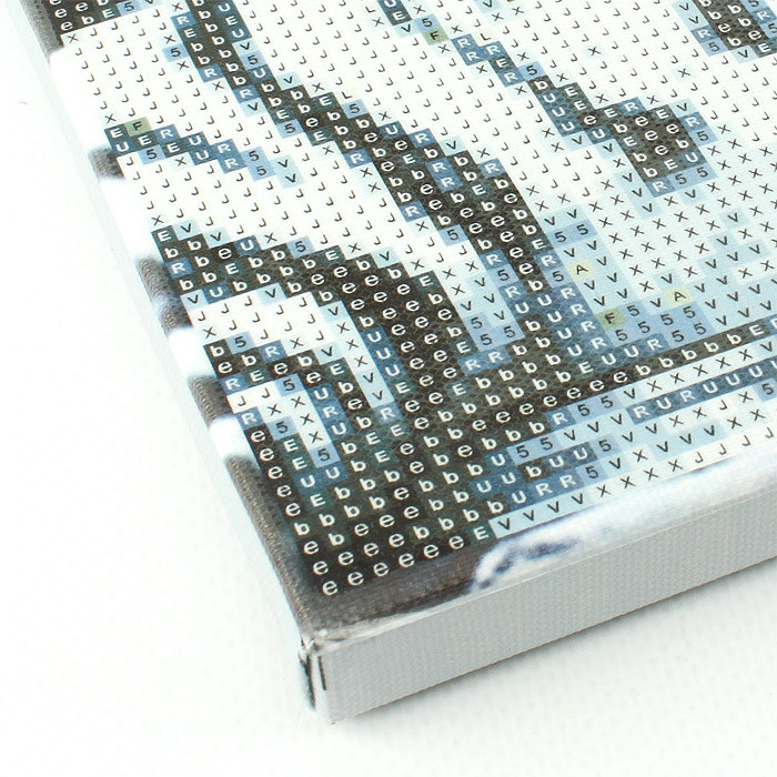 Алмазная живопись "Darvish" 40*50см Белые тигры - фото 6 - id-p184161424