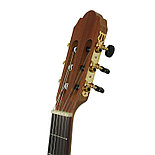 Гитара классическая HORA CM130, фото 4