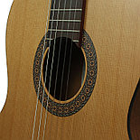 Гитара классическая HORA CM130, фото 5