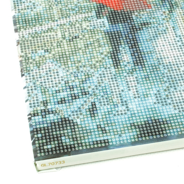 Алмазная живопись "Darvish" 40*50см Влюбленные на мосту - фото 5 - id-p184162565