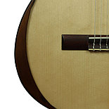 Гитара классическая HORA Proandalus 20AS, фото 5