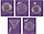 Тетрадь общая А5, 48 л. на скобе Total Lilac. «Лабиринты» 160*200 мм, клетка, ассорти, фото 3
